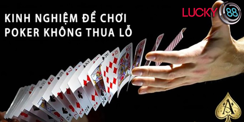 Trải nghiệm người chơi tại Lucky88